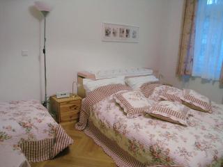 Holiday apartment Comfortable Vacation Home - Viena - 2