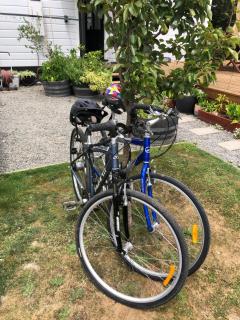 Petite on Regent - Martinborough - 3