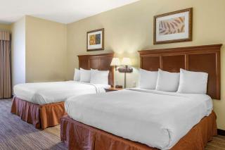 Country Inn & Suites by Radisson, Atlanta Downtown - Atlanta - 7