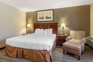 Country Inn & Suites by Radisson, Atlanta Downtown - Atlanta - 4