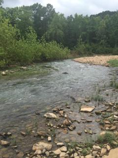 Toms Branch Campground - - 4
