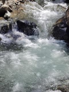 Cucú Ardilla Vivienda Campestre en Pance - 8