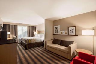 Country Inn & Suites by Radisson, Rock Hill, SC - Rock Hill - 8