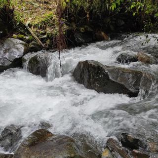 Cucú Ardilla Vivienda Campestre en Pance - 7