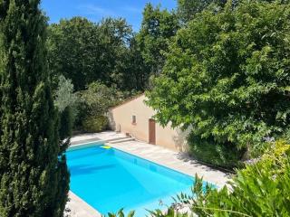 Chambre d'hôtes avec piscine chauffée dans le Parc de la Brenne - FR-1-591-574 - 9