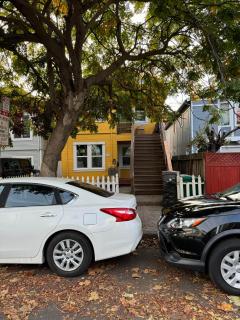 Bumblebee House - 9