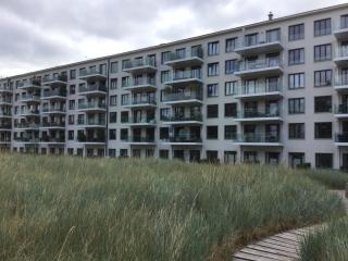 Seeschwalbe mit Meerblick - 2
