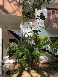 Windy Garden - Galle - 3