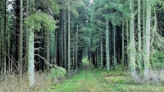 Hase - Eslohe - 2