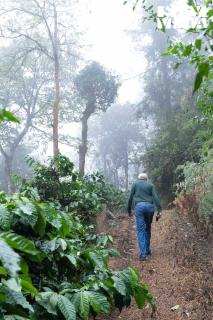StayVista at Mercara Hill with Indoor-Outdoor Games - Madikeri - 6