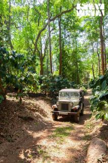 StayVista at Mercara Hill with Indoor-Outdoor Games - Madikeri - 4