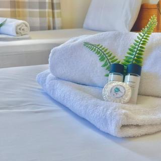 Merika Complex 1 - 2