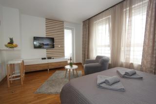 Kokpit - Stan Na Dan Novi Beograd Belvil, parking 5 evra dan - Belgrade - 1