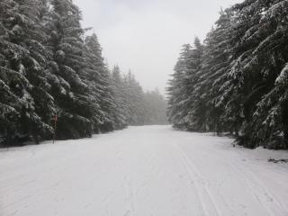 Bernadette - Chouvigny - 9