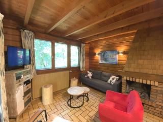 LE MONTAGNARD Chalet en bois - La Bresse - 9