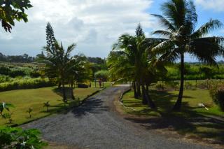 God's Peace of Maui - Makawao - 9