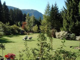 Haus Moosbrugger - Reutte - 1