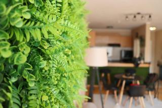 Green Cozy and Central 1BDRM Apartment - 4