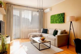 Green Cozy and Central 1BDRM Apartment - 7