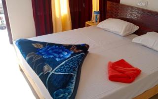Hotel Village Inn by StayApart - Barkot - 3