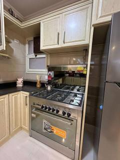 Decent brand new flat with garden view - 2