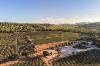 Domaine De Sigalous - La Crau - 7