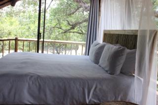 Letoane@krugerpark - Marloth Park - 8