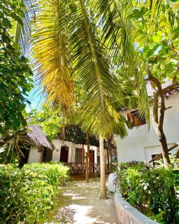 HEBE Bungalows Lodge - Matemwe - 2