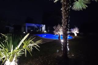 Appartement dans les vignobles - 2