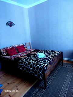 guest house lela rezo - Kazbegi - 1