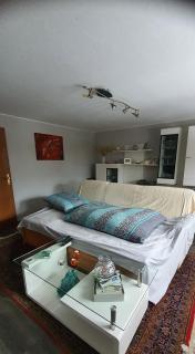 Ferienwohnung 3,2 km von Saarloius entfernt mit Terrasse und Garten - 4