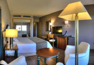 Beatriz Toledo Auditorium & Spa - Toledo - 4
