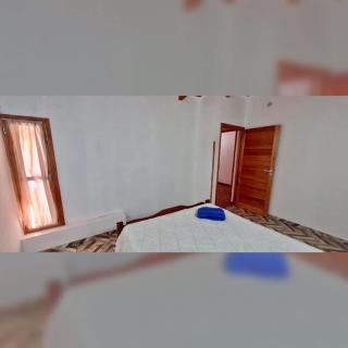 Alberdi Tempo - 4