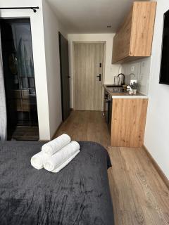 Niron Apartament Dąbrowskiego - Piła - 3