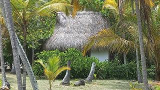 Playa Pikua Ecolodge - Guachaca - 6