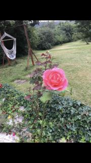 Aussichtszimmer mit modernem Glasbad und Balkon - Koblenz - 1