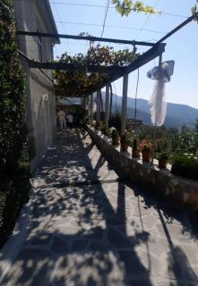 Guest House Xhelili - - 1