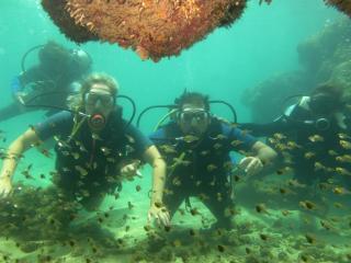 Chalé Raio de Sol - 9