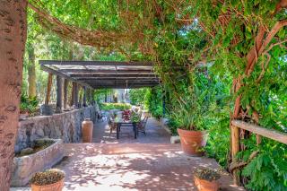 Villa Le Palme - Ischia - 3