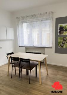 Schöne, große Monteurwohnung - Brema - 3