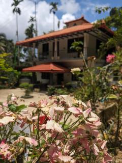 Kund estate villa - Madikeri - 0