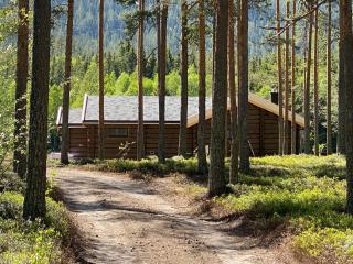 ElveRo Lodge - Trysil - 6