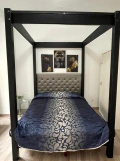 Condesa - Saragozza - 2
