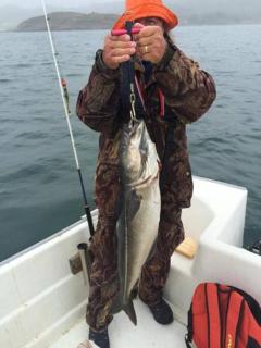 Apartment Solbakken Feriehus - 4