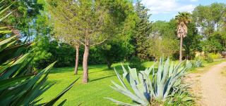 Maison charmante à Narbonne avec piscine et jardin - Narbonne - 1