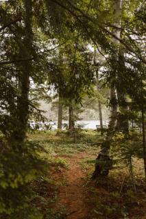 Waterfront private cottage on Koshlong Lake - Haliburton - 5