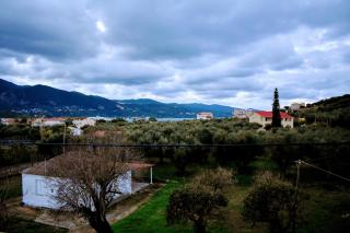 Hector's Studios - Alikanas - 2