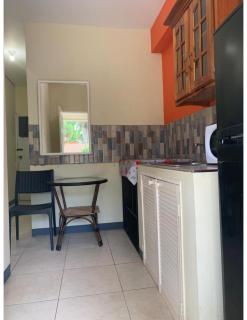 2-bedroom Apt in an Ocean Front Resort in Jamaica - Enjoy 7 miles of White Sand Beach! apts - Negril - 7