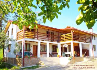 Pensiunea Valea Cernei - 1
