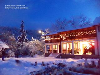 Pensiunea Valea Cernei - 3